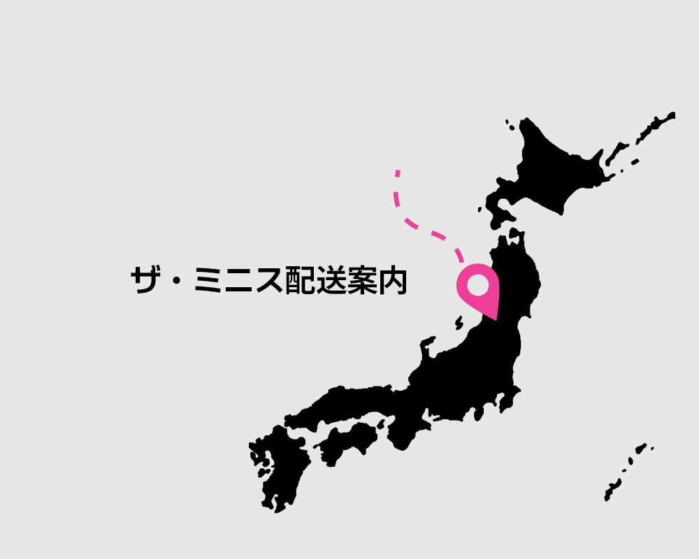 ザ・ミニス配送案内